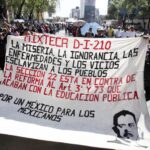 Seccion 22 en contra