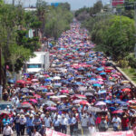 Seccion 22