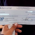 cheque sep