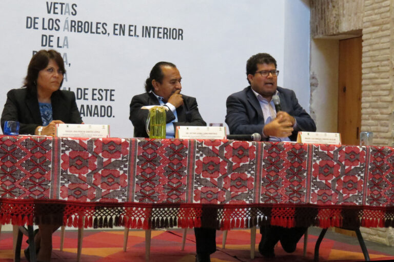 Necesario reconocer y respetar derechos de los pueblos indígenas
