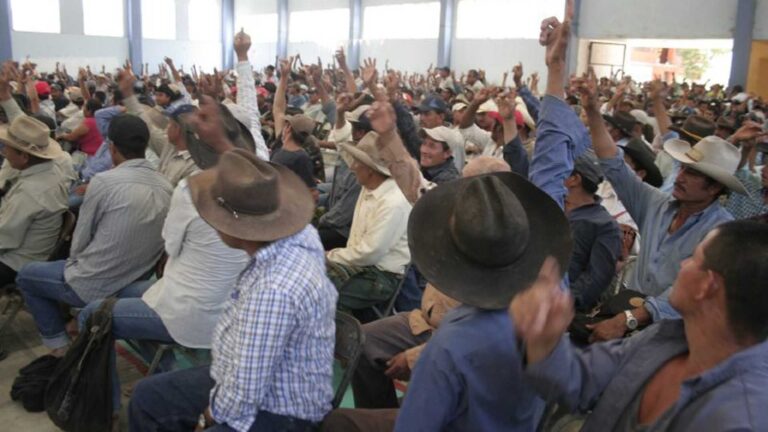 AL MARGEN || Pueblos indígenas y minorías en Oaxaca, ¿estarán dispuestos a legitimar una reforma electoral regresiva?