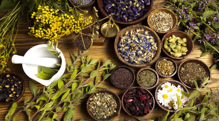 Hierbas medicinales