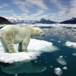 Cambio Climático