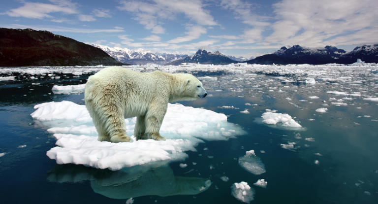 Cambio climático