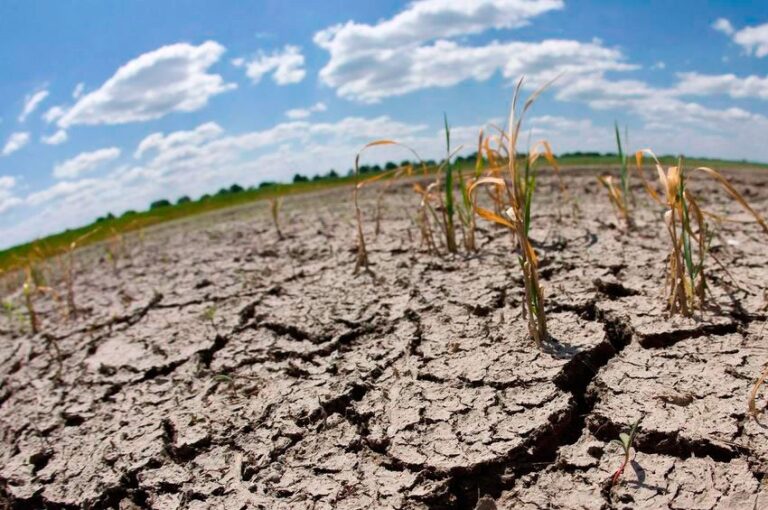 ¿Déficit de agua?
