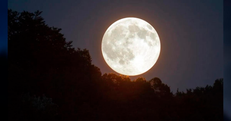 Eclipse y reyes