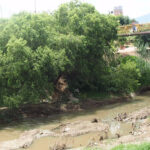 Atoyac río