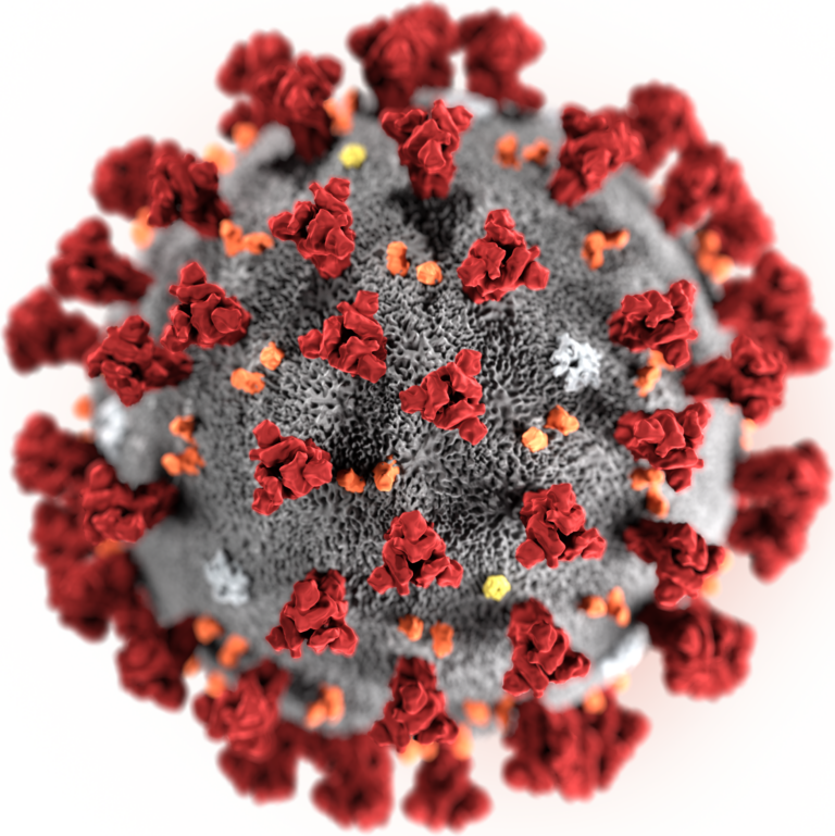 Virus contra humanos