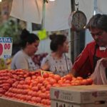 Actividad económica