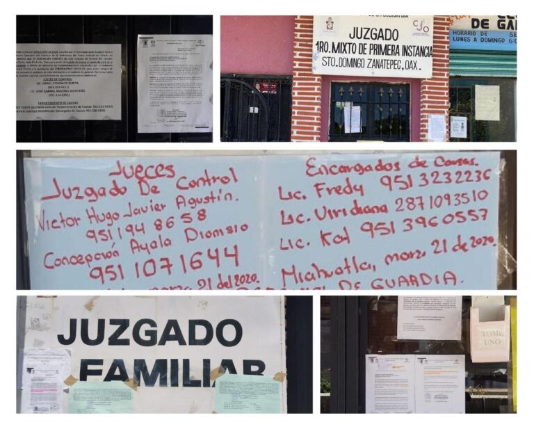 Atención prioritaria del PJE a casos de violencia de género, familiar y penal