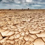 sequia-agrocultura
