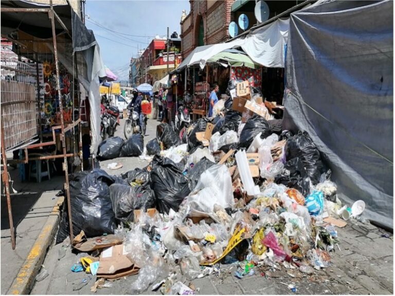 Oaxaca, la ciudad de las moscas