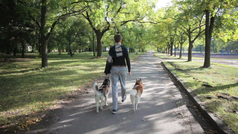 Los perros son un amor, sus heces un gran riesgo