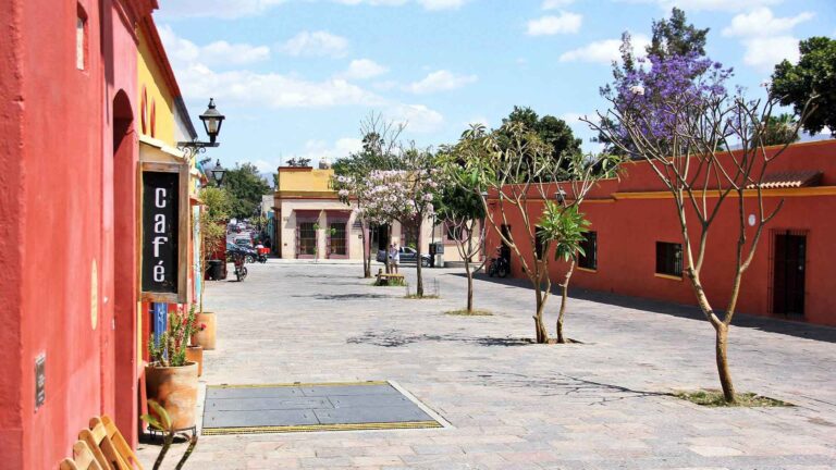 ¿Oaxaca, ciudad educadora?