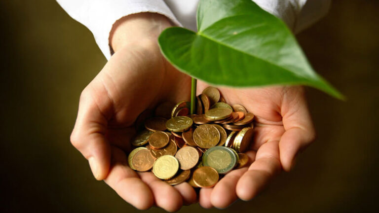 Pensar, comprar – vender, rentar