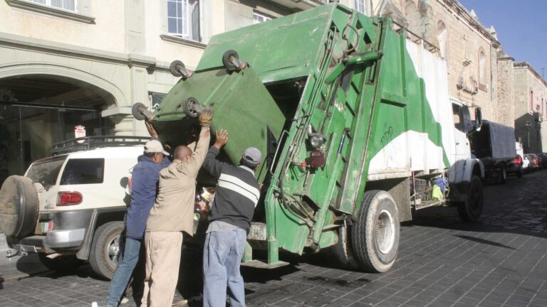 Basura orgánica: caldo de cultivo