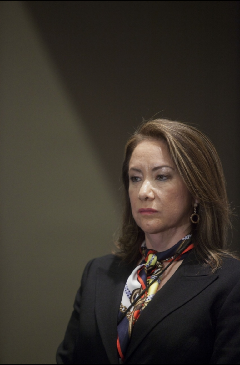 AL MARGEN || Caso Yasmín Esquivel: el choque de la impostura contra un Poder especializado
