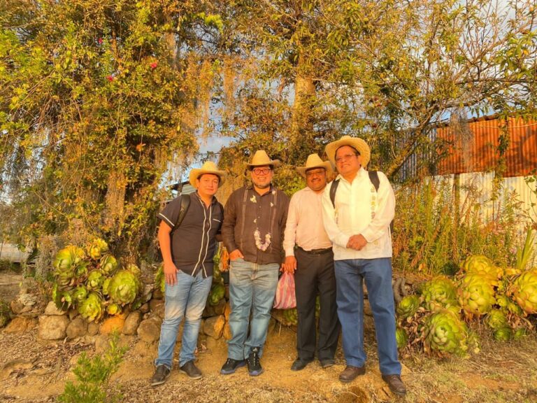Celebrando siete años de justicia indígena desde las montañas de la Mixteca