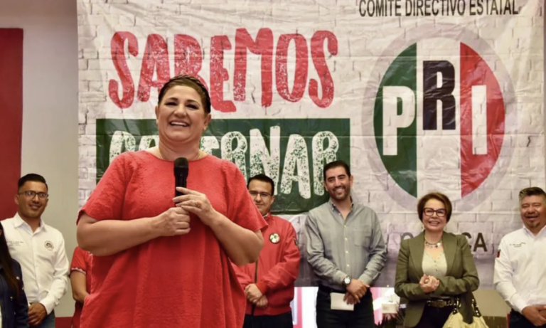 AL MARGEN || Carmelita Ricárdez: un ejemplo del extravío en las propuestas de campaña 