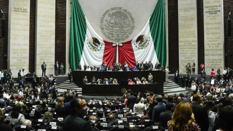 CONCEPTOS Y DECISIONES || Poder legislativo