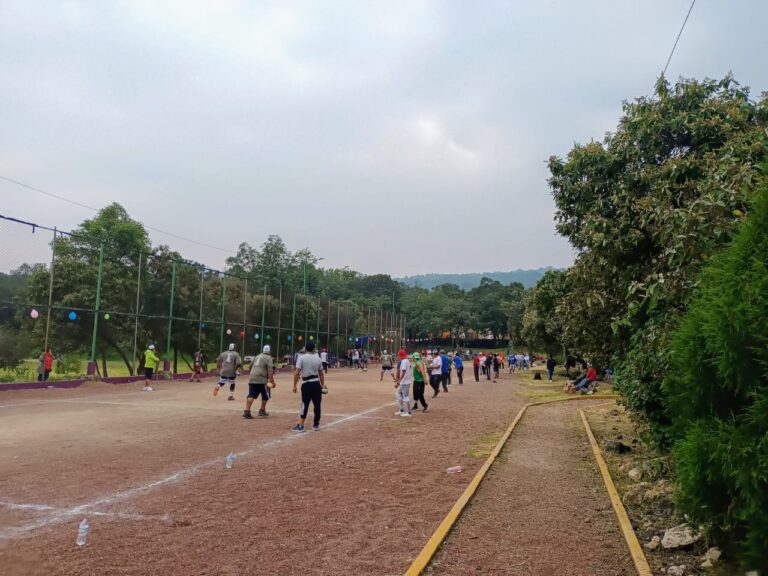 La Sierra Sur en Tlalpan: historia de un patio de juego de pelota