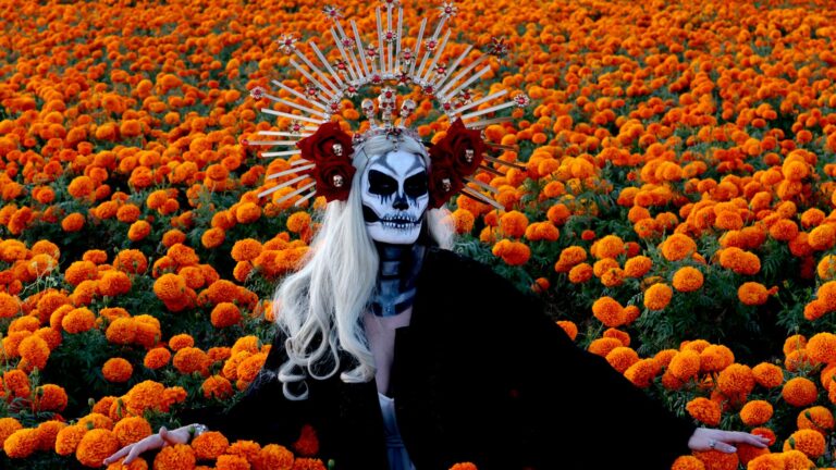 Días de muertos