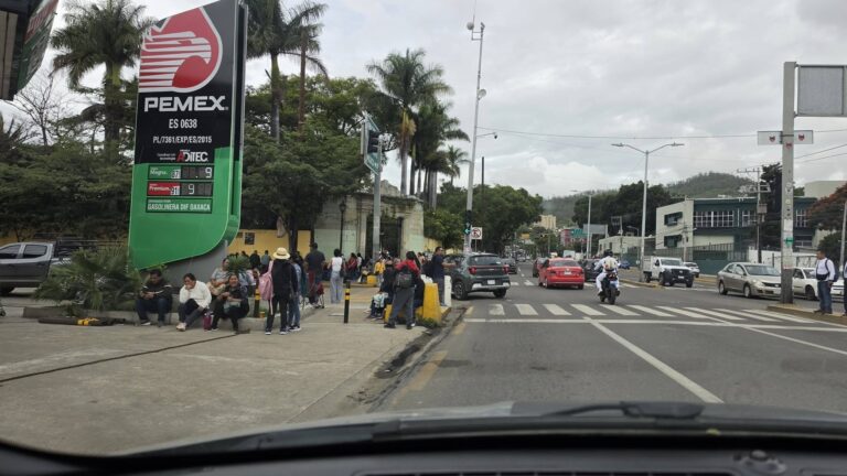 PLAZA ABIERTA || Arrebatos e ineptitudes 